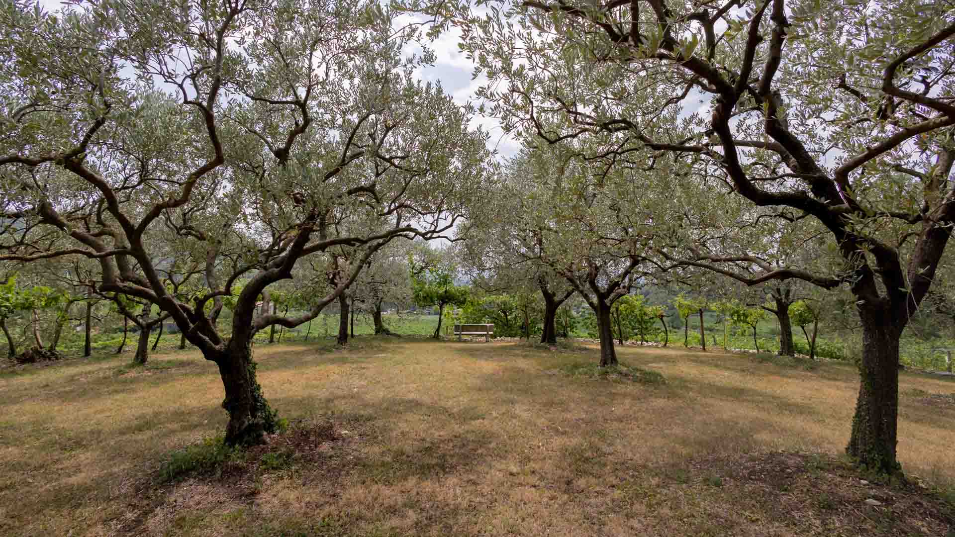 villa-marano-esterno-2